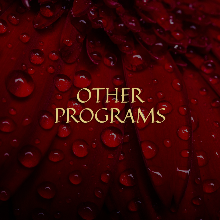 other programs